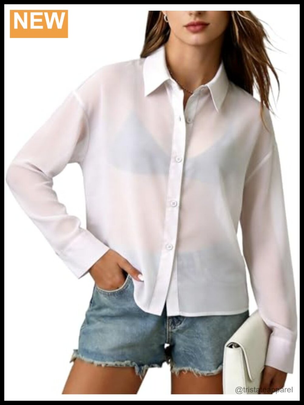 Sheer Long Sleeve Collared Button Down Blouse